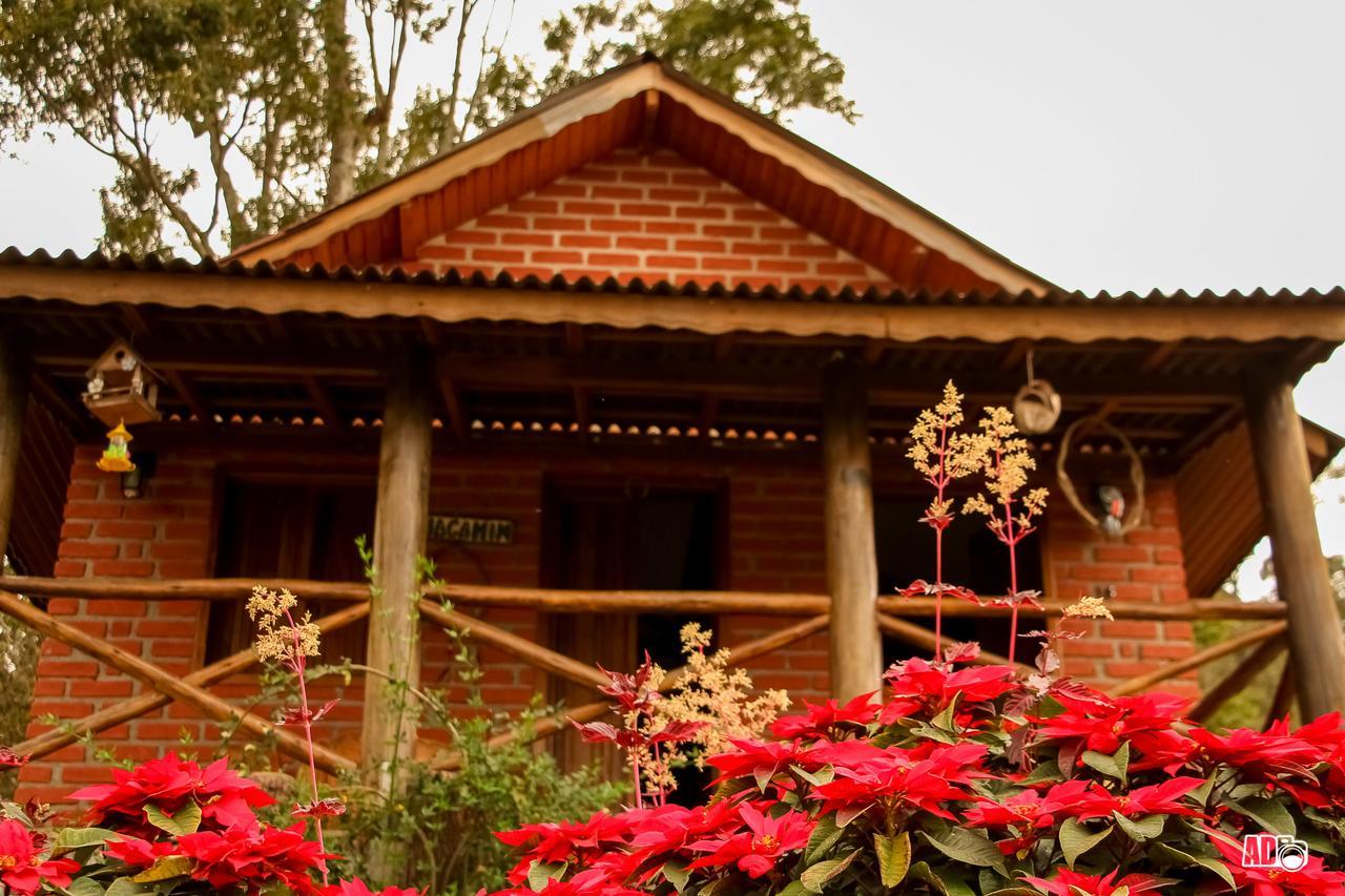 Chales Kayoa Corrego do Bom Jesus Bagian luar foto